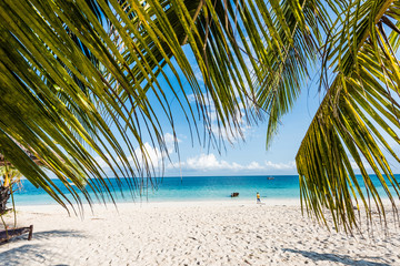 prachtig zeegezicht met palmtakken, strand en blauwe oceaan
