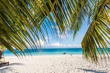 Afwasbaar Fotobehang Zanzibar prachtig zeegezicht met palmtakken, strand en blauwe oceaan
