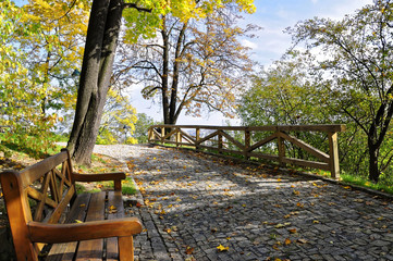Bench placed in the way of the trail