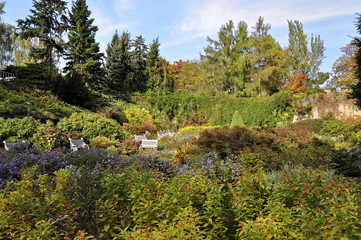 Obraz premium Long shot of the benches placed in the park