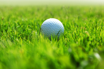 golf-ball on course