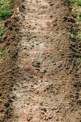 soil with fertilizer