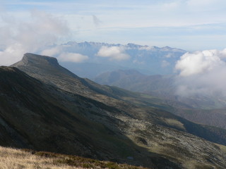 Alto campoo