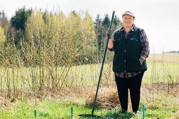 Fototapeta premium Mature woman raking garden. Senior woman with rake spring cleaning