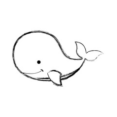 cute whale tender icon vector illustration design