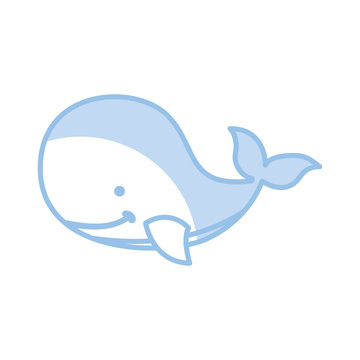 cute whale tender icon vector illustration design