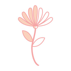 beauiful garden flower icon vector illustration design