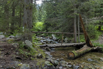 Mountain landscape with  river and broken wooden bridge in forest from tempest, Rila mountain, 

Bulgaria  
