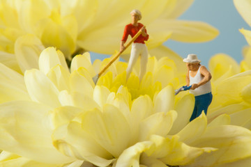 Miniature people: People are gardening in a field of yellow flowers