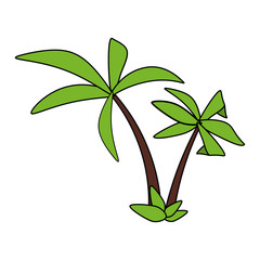 Fototapeta na wymiar color image cartoon tropical palm trees vector illustration