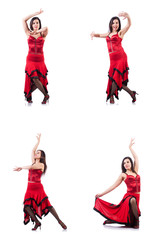 Fototapeta na wymiar Female dancer dancing spanish dances