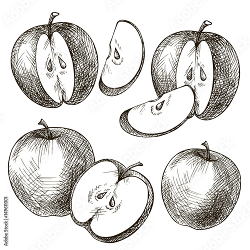 "Set of apples hand drawn" Stock photo and royalty-free images on