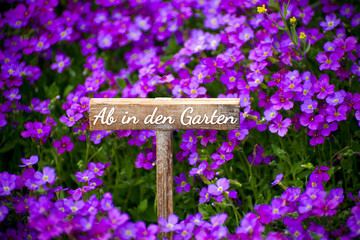 Ab in den Garten
