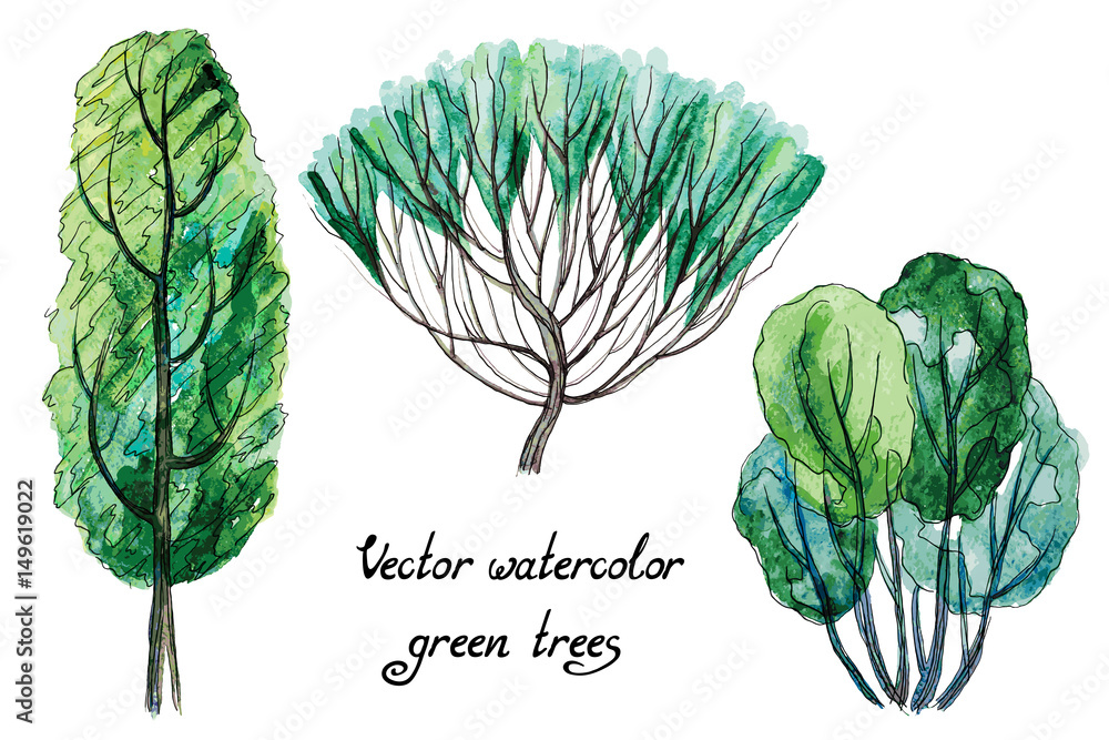 Wall mural Vector set of hand drawn watercolor pictorial green trees, isolated on the white background for your landscape design - Wall murals