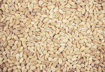 Pearl barley Close Up .