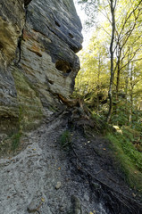 Small holes in the rock