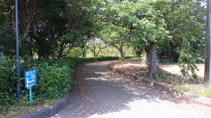 のんびり歩こう