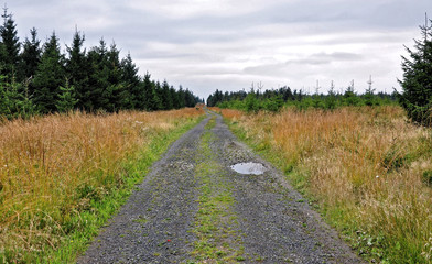 Fototapeta na wymiar Crater in the gravel road
