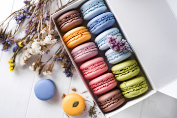 multicolored french macaroons