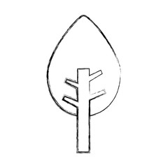 tree plant isolated icon vector illustration design