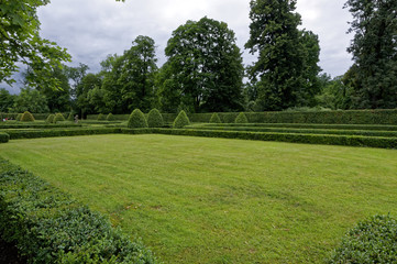 Trees are trimmed in the lawn