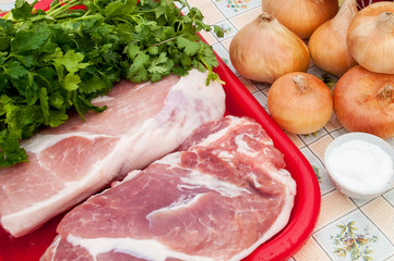 Raw meat, uncooked onions, a bunch of parsley and salt lie on a crockery tablecloth and a red tray