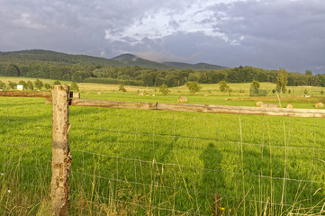 Current fencing for the paddy field