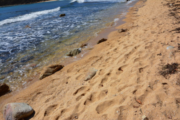 footprints in the sand