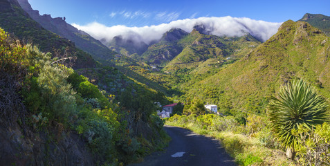 Fototapeta na wymiar Mountains of Anaga, Tenerife