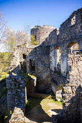 Burgruine Prandegg. Austria.