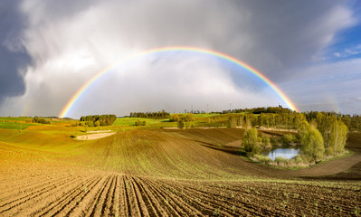 Rainbow in the sky above the spring field after the storm