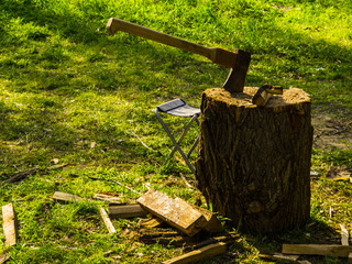 Fototapeta premium Ax stuck in a tree stump on the background of green grass
