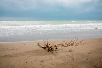 Plage de Principina a Mare du Parc naturel régional de la Maremma en Toscane