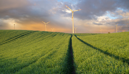 Wind turbines in the spring field