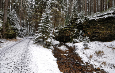 Stream flows between the rock and dirt road