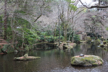 Fototapeta na wymiar 岐阜公園の庭園