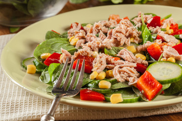 Fresh spinach salad with tuna, cucumber, corn, and red paprika on a plate