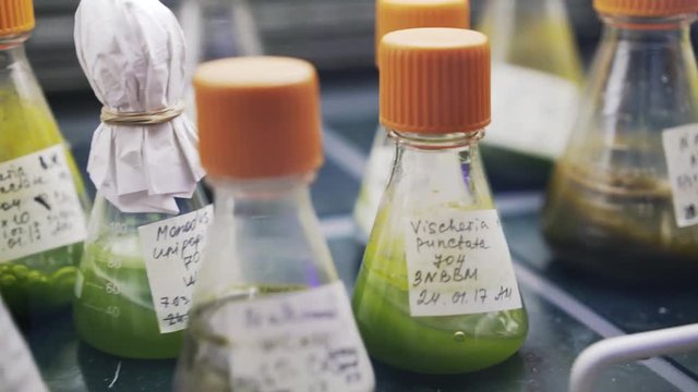 Extreme close up of bottles with orange covers and white labels in a centrifuge. There is green liquid inside. Locked down real time close up shot