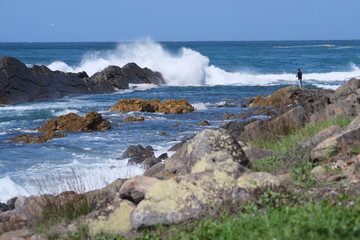 Australien Forster 14