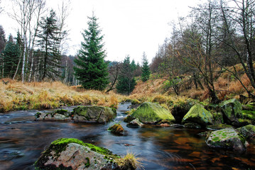Another view of the stream flowing far from the hill