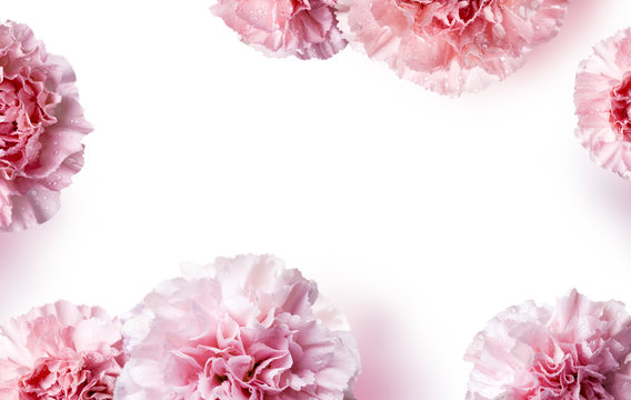 Mother's day concept of pink carnation flowers background with copy space