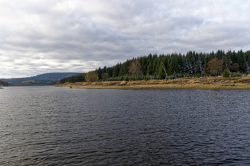 Another shot of trees from other side of the river