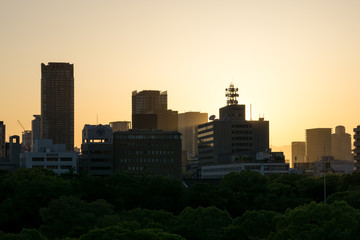 osaka city view