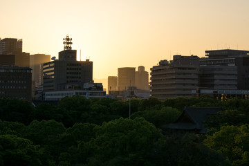 osaka city view