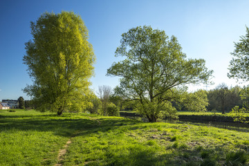 Obraz premium Naturlandschaft an der Agger, Troisdorf