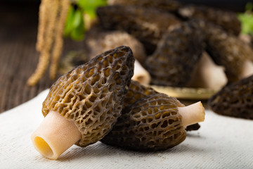 Fresh morchella conica, seasonal mushrooms.