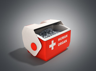 open human organ refrigerator box red 3d render on grey