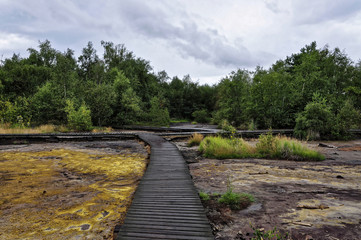 Wooden path wet of rain