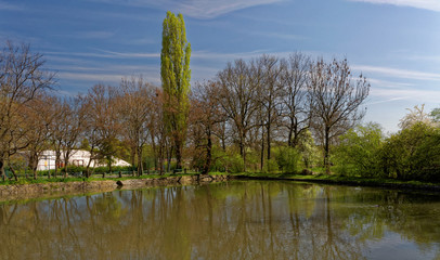 Pond surrounded by deciduous trees