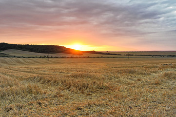 Fototapeta premium Sunset from the farm land